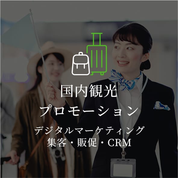 国内観光プロモーション デジタルマーケティング集客・販促・CRM